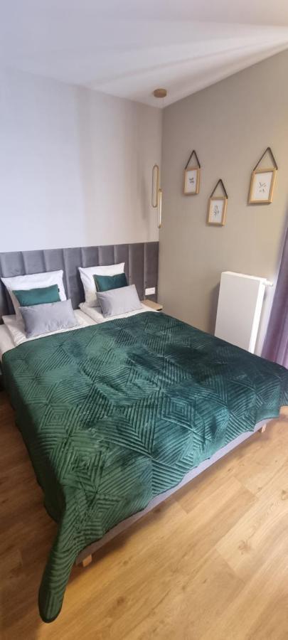 Apartament Morza Szum 萨比诺瓦 外观 照片